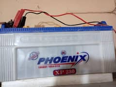 Phoenix
