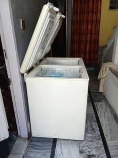 D fridge