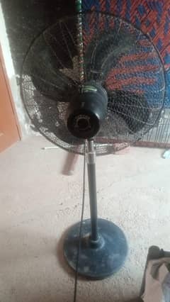 گھر