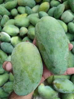 Fresh All Over Pakistan home delivery free