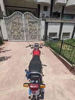 Honda CD 70 2025 for sale