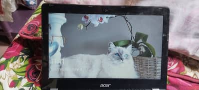 Chrome book