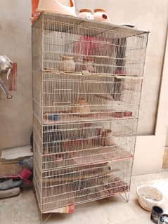 birds cage