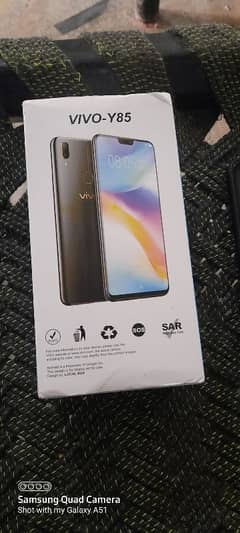 vivo