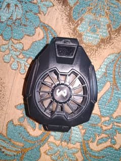 FAN