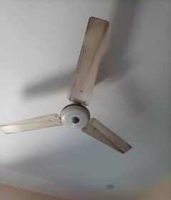 Ceiling