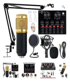 Professional Condenser microphone