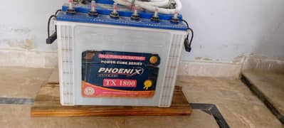 phoenix tubular battery