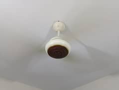 GFC Ceiling Fan for Sell