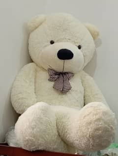 Teddy