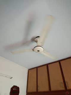 Pak fan 56"