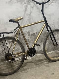 Phoneix cycle