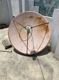 Dish