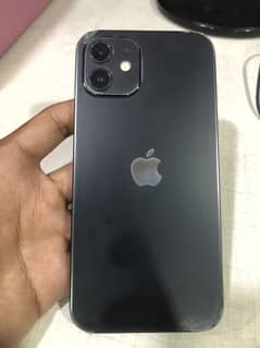 iPhone 12