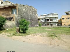 16 Marla residential Plot