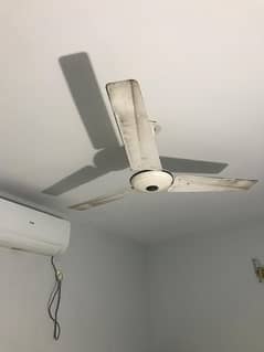 I want to sale my celling fans
