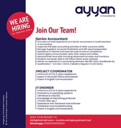 Senior accountant