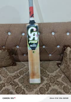 CRICKET BAT CA 8000