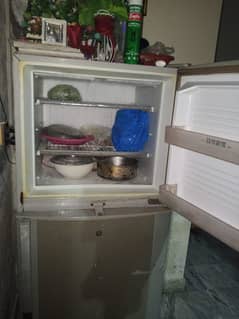 dowlance medium Fridge