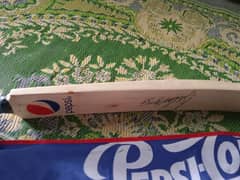 cricket bat