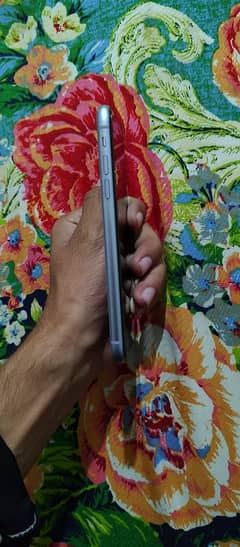 I phone 11