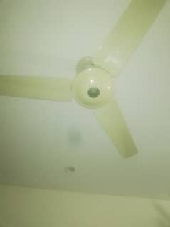 rabta