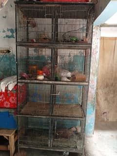 cage all ok he pese ki zarorat