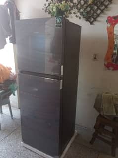 HAIER