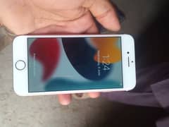 phone