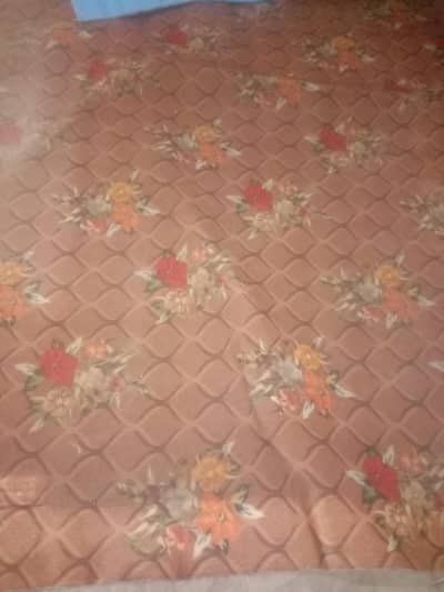 carpet /room carpet/karpet/carpit/car
