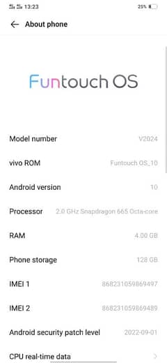 Vivo