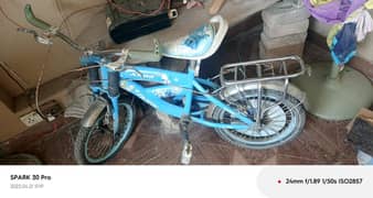 Bicycle | frozen cycle