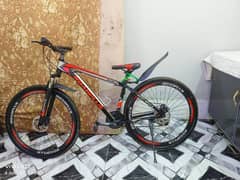 Road plus bicycle