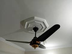 ac dc fan new