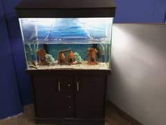 Aquarium