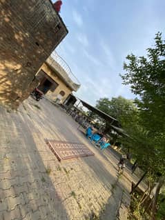 100 Marla Beautiful Farm House Available for Rent In Marakiwal Road With Beautiful 2 Bedroom Furnished Annexe & Swimming Poll