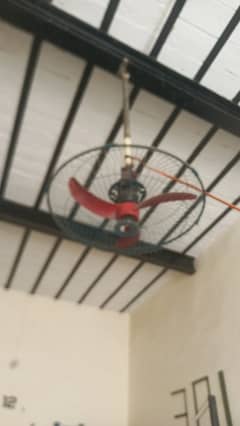 celling fan