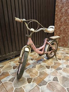 Small Bicycle for kids