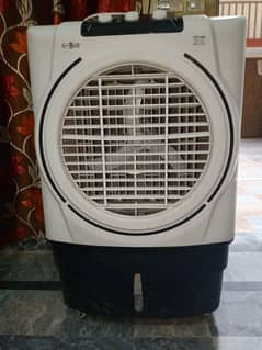 ac 12 wr