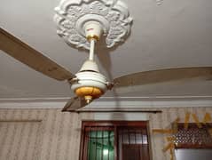 1 ceiling fan