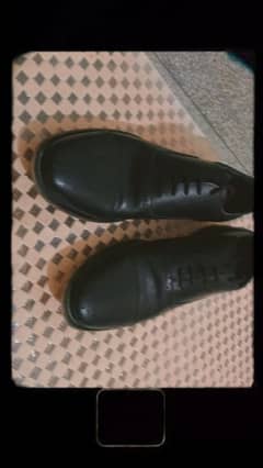 derbys