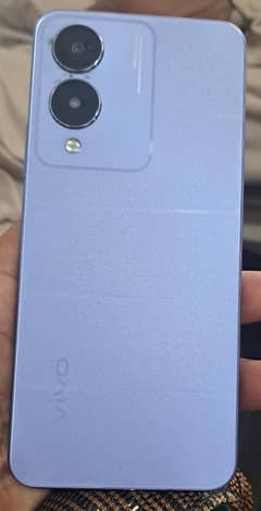 vivo