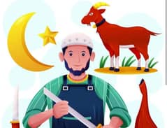 bakra qasai available only call