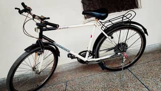 Real PHOENIX 18 SPEED