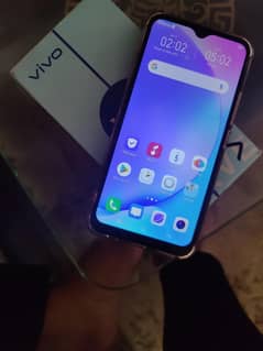 VIVO