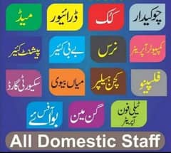 Drivers, cook, Patient care jobs avaliable