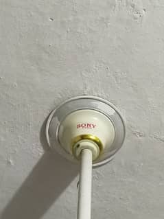 10/10