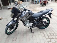 Yamaha ybr125. . cc