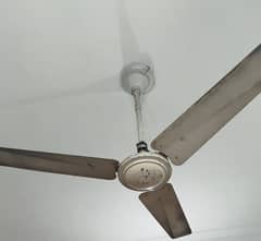 4 Ceiling Fans Available For Sale 5000/each