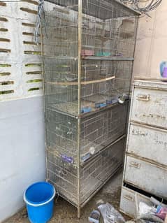 Bird Cage